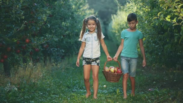 Menina e seu irmão carregam uma enorme cesta ao longo da bela natureza. Espaço para cópia. 4K . — Vídeo de Stock