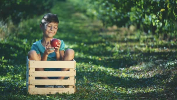 Le petit garçon en T-shirt bleu mord une pomme rouge, à l'extérieur. Boy est assis dans une boîte en bois. Espace de copie. 4K . — Video