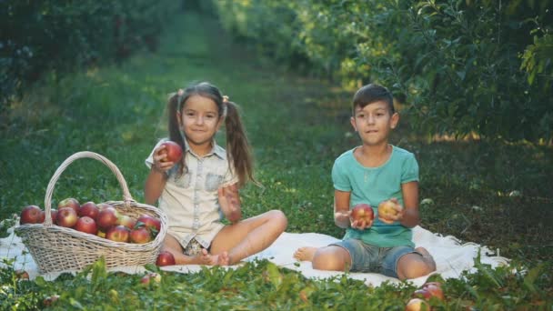 La niña y su hermano están sentados en la alfombra afuera. Hay una cesta enorme, llena de manzanas cerca de ellos. Están jugando con manzanas. Copiar espacio. 4K . — Vídeo de stock