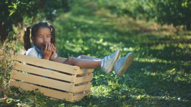 A menina de t-shirt azul está a comer uma maçã vermelha, ao ar livre. A rapariga está sentada numa caixa de madeira. Espaço para cópia. 4K . — Vídeo de Stock