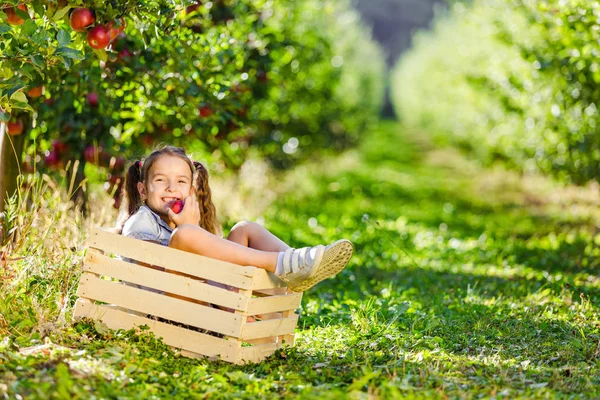 Κοριτσάκι με κόκκινο μήλο σε εξωτερικό χώρο, σε καταπράσινο οπωρώνα, κάθεται σε ξύλινο κιβώτιο. — Φωτογραφία Αρχείου