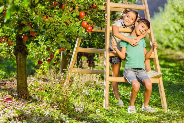 Vtipní sourozenci objímající se na dřevěném žebříku v jablečné zahradě, šklebící se do kamery. — Stock fotografie