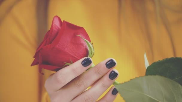 Gorgeous brunette girl is touching a rose in a cafe. Close up. Crop. Copy space. 4K. — Stock Video