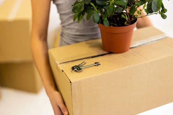 Cropped shot of big carton box with flower pot and keyson it in womans hands. — 图库照片