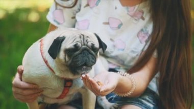 Slowmo. Slowmotion. Young woman is feeding her small pug dog with sweet ice-cream. Close up. Copy space. 4K.