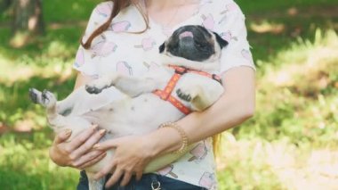 Young woman is swinging and swaying her pug dog on the park packground. Copy space. 4K.