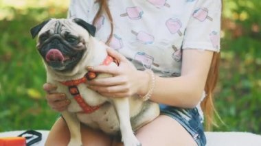 Girl is sitting on a carpet and having a dog on her knees. Close up. Copy space. 4K.