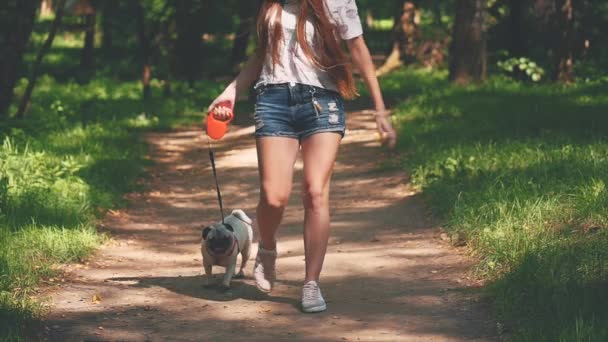 Pug cão ao lado de uma menina feliz correndo pelo caminho no parque natural. Movimento lento. Devagar. Espaço para cópia. 4K . — Vídeo de Stock