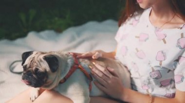 Bayan köpeğiyle boş zaman geçiriyor. Küçük köpeğiyle doğada rahatlayan bir kadın. Kapatın köpekleri. Uzayı kopyala 4K.