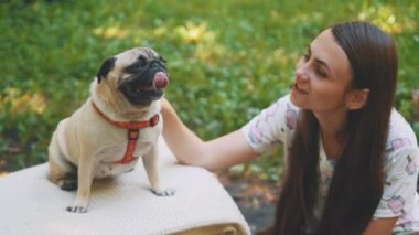 Smiling lady is taking free time with her dog. Woman relaxing in the nature with her little pug dog. Close up. Copy space. 4K.