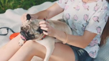 Smiling lady is taking free time with her dog. Woman relaxing in the nature with her little pug dog. Crop. Close up. Copy space. 4K.