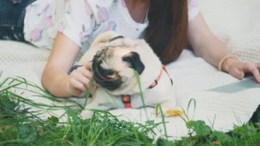 Crop. Girl is laying on a carpet on lawn in the park. She typing something on her laptop. Pug laying beside and looking around. Copy space. 4K.