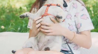 Genç kadın, köpeğini parkta sallıyor ve salıncak parkında sallanıyor. Uzayı kopyala Ekin. 4K.