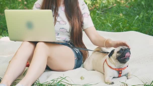 Crop. Girl is laying on a carpet on lawn in the park. She typing something on her laptop. Pug laying beside and looking around. Copy space. 4K. — Stockvideo