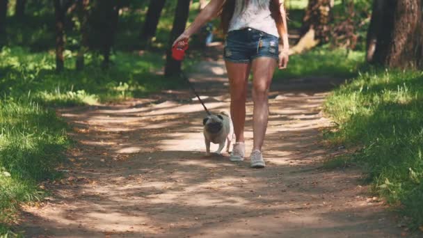 Pug dog next to a girl happily running through the path in the nature park. Crop. Copy space. 4K. — Stok video