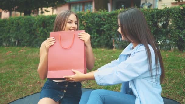 Two attractive girls are sitting on the bench in the park. Brunette bought a new stripped blouse for her blond friend. Close up. Copy space. 4K. — Αρχείο Βίντεο