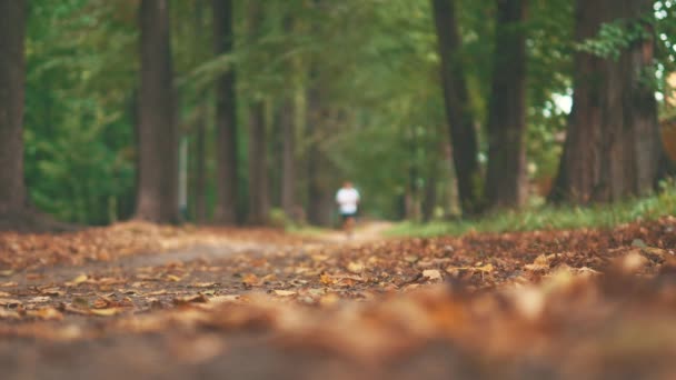 Mannen rennen in het park 's ochtends voor de wedstrijd. Doe je benen dicht. Begrepen, ruimte. 4K. — Stockvideo