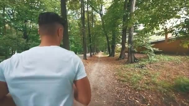 Männer laufen im Park, machen Morgengymnastik vor dem Wettkampf. Rückansicht. Aus nächster Nähe. Langsam. Zeitlupe. Kopierraum. 4K. — Stockvideo