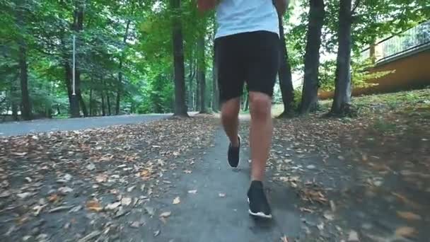 Os homens estão correndo no parque de outono, fazendo exercícios matinais antes da competição. Fecha as pernas. Espaço para cópia. 4K . — Vídeo de Stock