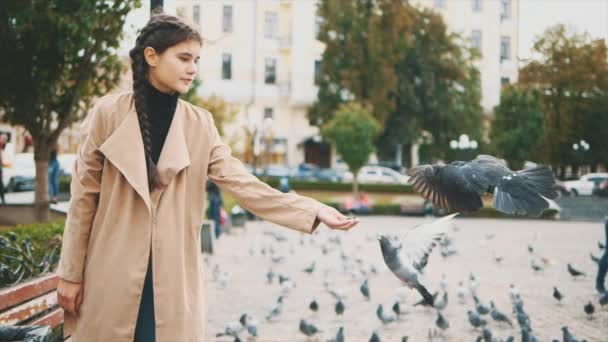 Langsam. Entzückende junge Touristin mit langen schwarzen Zöpfen füttert Tauben. Kopierraum. 4K. — Stockvideo