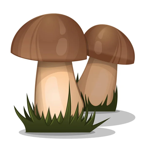 Organiska natur skog svamp i gräs — Stock vektor