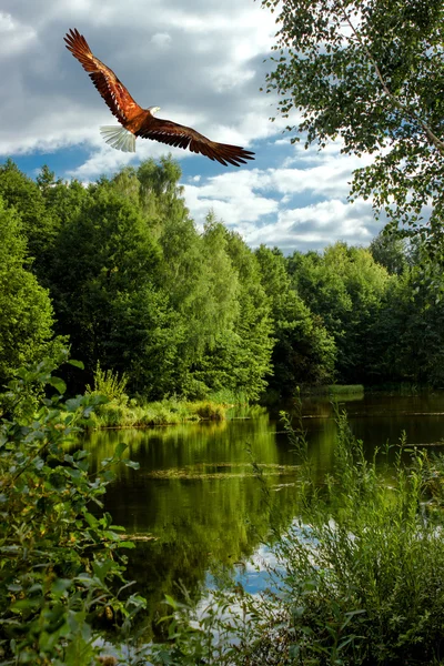 Unutulmuş yaban hayatı alanı.