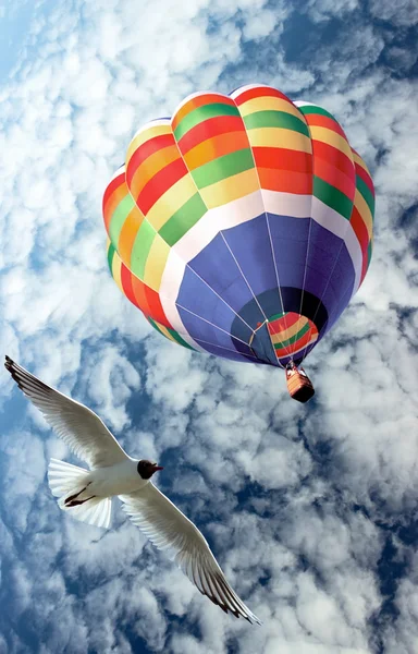 Fliegen wir hierher. — Stockfoto