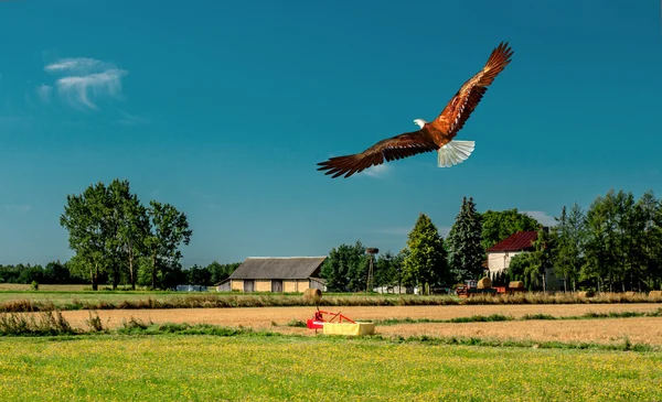 Avcılık avcı Bilet. 