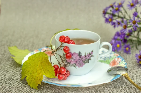 ガマズミ属の木とお茶のカップ. — ストック写真