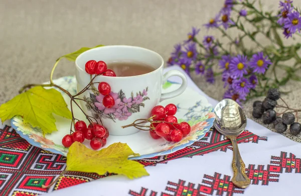 Cup of tea with viburnum. — Stock Photo, Image