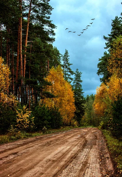 Altın Sonbahar sezonu etkileyicidir.