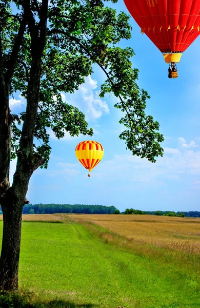 Létající balóny na pozadí pole. — Stock fotografie
