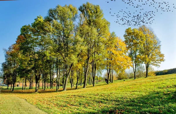 sıcak sonbahar günü. 