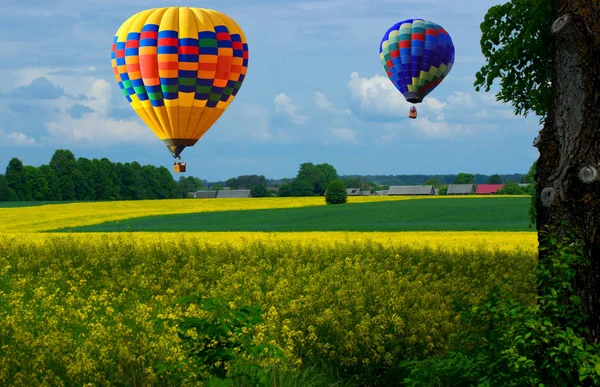 Vol aérien au-dessus de la nature verte . — Photo