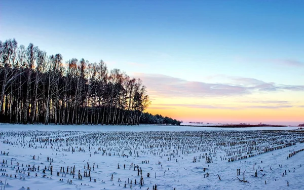 Paisaje invernal en la naturaleza del sol y el bosque de nieve . — Foto de Stock