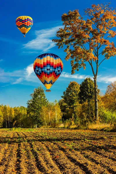 Ballonnen vlogen over de bossen van gouden herfst. — Stockfoto