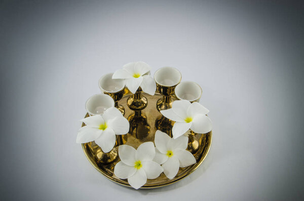 plumeria on Gold ingot on golden plates white background