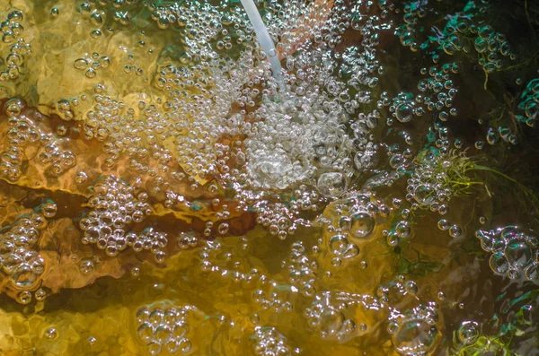 Bacia de drenagem de bolhas de oxigênio em caldo de peixe com algas marinhas . — Fotografia de Stock