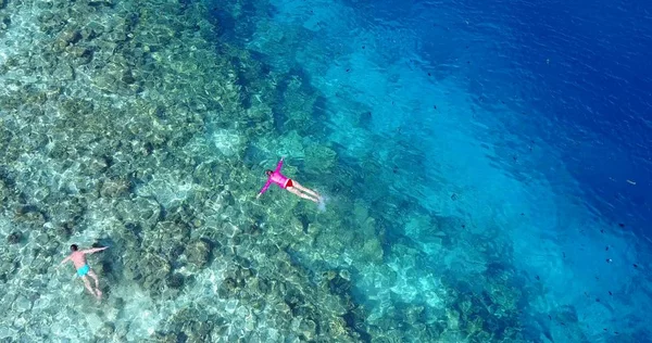 v06467 Aerial flying drone view of Maldives white sandy beach young people snorkeling swimming underwater on sunny tropical paradise island with aqua blue sky sea water ocean 4k