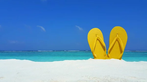 P01535 Maldives white sandy beach flip flops shoes on sunny tropical paradise island with aqua blue sky sea ocean 4k