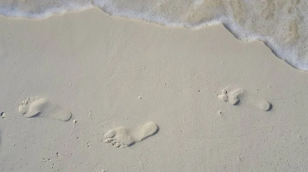 P01654 Maldives white sandy beach footprints on sunny tropical paradise island with aqua blue sky sea ocean 4k