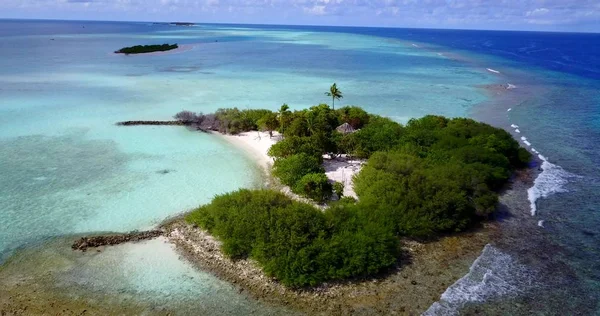 v11568 maldives white sand beach tropical islands with drone aerial flying birds eye view with aqua blue sea water and sunny sky