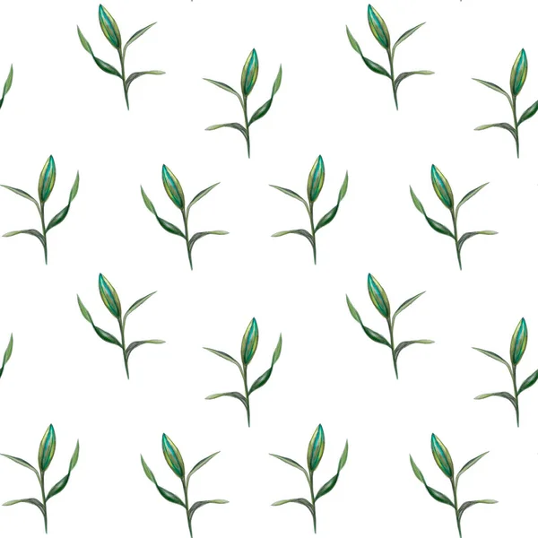 Hand drawn flower bud illustration isolated on white background. Seamless pattern. Green and pink colored illustration.