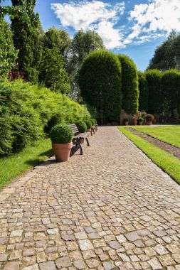 Taş merdiven bir parkta