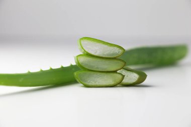 aloe vera taze yaprak beyaz arka plan üzerinde izole