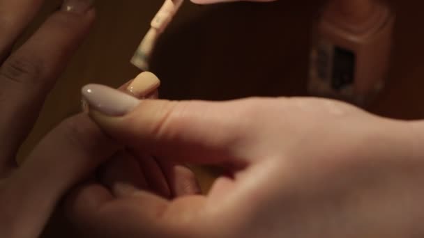 Mestre faz a manicure menina mãos no salão — Vídeo de Stock