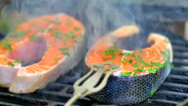 Salmão grelhado com especiarias frescas — Vídeo de Stock