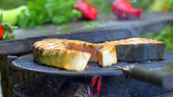 新鮮なスパイスで鮭を焼く — ストック動画