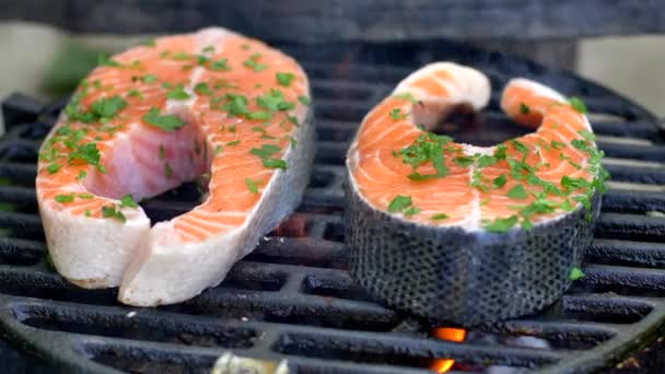 Griller le saumon avec des épices fraîches — Video