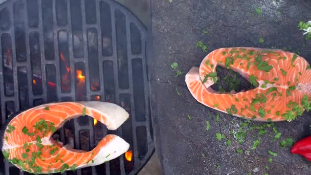 Côtelette de saumon cru aromatisée aux épices — Video